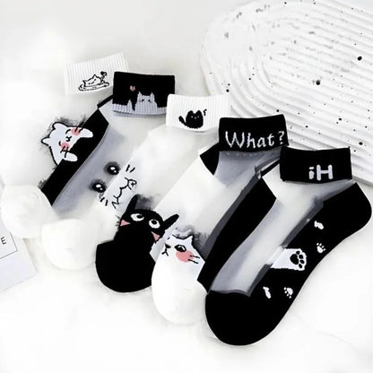 Kadın 5 Çift Karışık Kedi Desenli Tül Çorap Beyaz