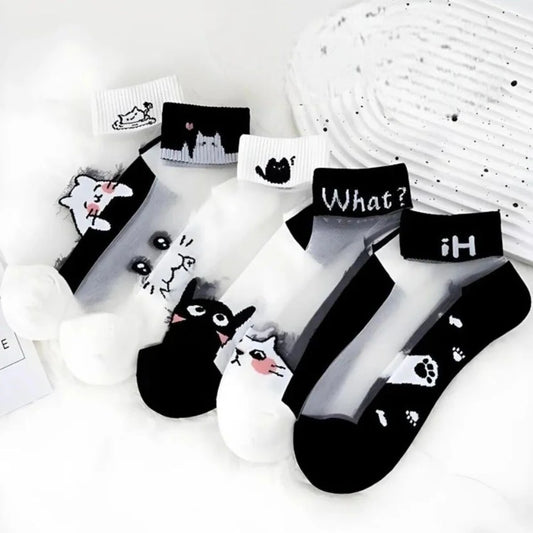 Kadın 5 Çift Karışık Kedi Desenli Tül Çorap Beyaz